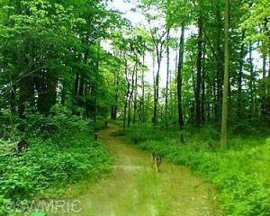 18699 William St, Cassopolis, MI 49031 photo 21