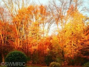 18699 William St, Cassopolis, MI 49031 photo 22