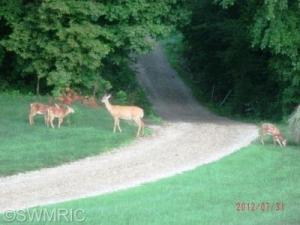 18699 William St, Cassopolis, MI 49031 photo 5