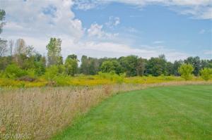 4393 Charles Rd, Ionia, MI 48846 photo 22