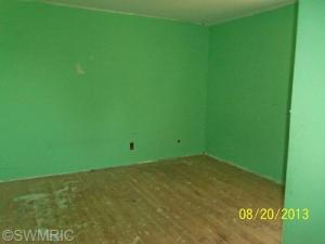 289 E Klees Rd, Stanton, MI 48888 photo 9