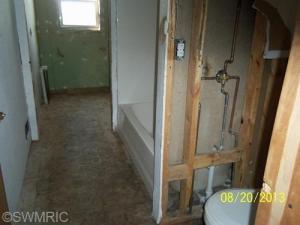 289 E Klees Rd, Stanton, MI 48888 photo 6