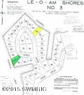 5417 Circle Dr, Reading, MI 49274 photo 28