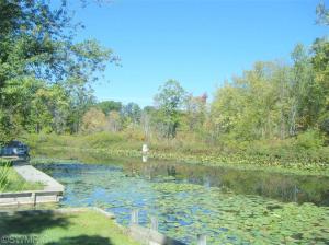 5417 Circle Dr, Reading, MI 49274 photo 22