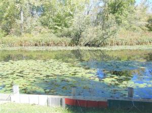 5417 Circle Dr, Reading, MI 49274 photo 23
