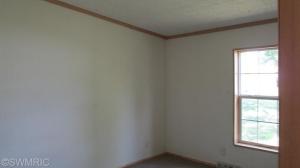 124 S Vine St, Stanton, MI 48888 photo 10