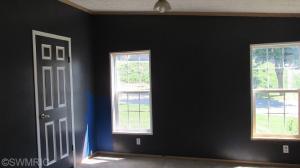 124 S Vine St, Stanton, MI 48888 photo 6