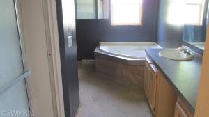 124 S Vine St, Stanton, MI 48888 photo 7