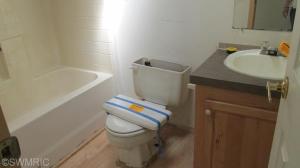 124 S Vine St, Stanton, MI 48888 photo 9