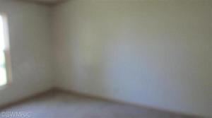 124 S Vine St, Stanton, MI 48888 photo 8