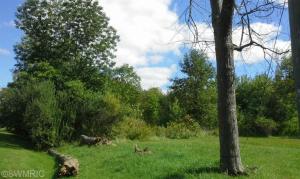 73441 34th, Covert, MI 49043 photo 3