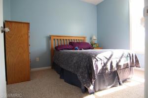 8075 Macarthur Rd, Saranac, MI 48881 photo 12