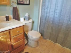 22661 Davis Dr, Three Rivers, MI 49093 photo 20