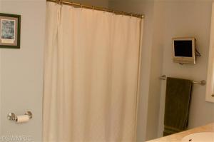 137 E Lytle, Ionia, MI 48846 photo 13