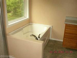 4716 River Rock Rd, Belding, MI 48809 photo 8
