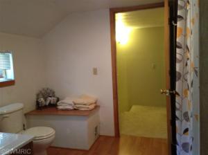 235 E Main St, Saranac, MI 48881 photo 8