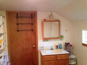 235 E Main St, Saranac, MI 48881 photo 7