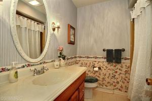 719 Allison Dr, Marshall, MI 49068 photo 15