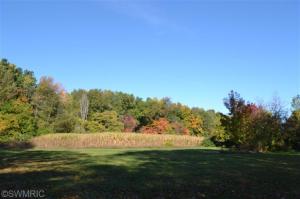 7944 Palmer Rd, Belding, MI 48809 photo 21