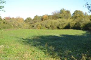 7944 Palmer Rd, Belding, MI 48809 photo 16