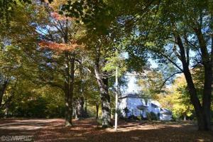 7944 Palmer Rd, Belding, MI 48809 photo 1