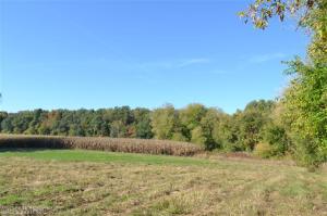 7944 Palmer Rd, Belding, MI 48809 photo 19