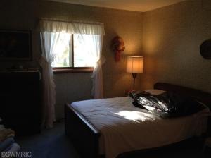 1144 E Sidney Rd, Stanton, MI 48888 photo 14