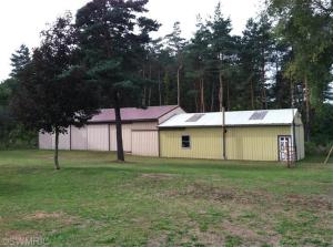 1144 E Sidney Rd, Stanton, MI 48888 photo 8