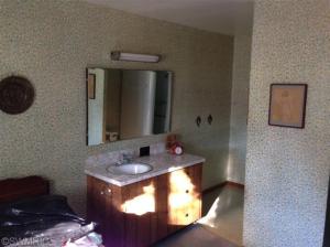 1144 E Sidney Rd, Stanton, MI 48888 photo 13