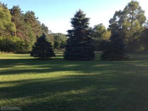 1144 E Sidney Rd, Stanton, MI 48888 photo 10