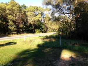 1144 E Sidney Rd, Stanton, MI 48888 photo 11