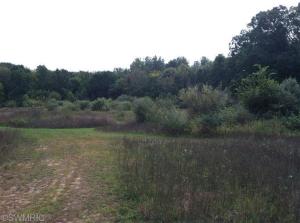 1144 E Sidney Rd, Stanton, MI 48888 photo 24