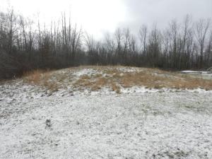 5732 108th Ave, Pullman, MI 49450 photo 20