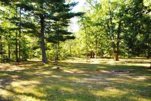 4275 E 42nd St, Chase, MI 49623 photo 9