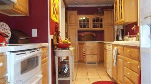 515 E Darwin St, Cassopolis, MI 49031 photo 10