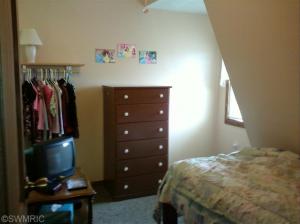 663 Coral Rd, Stanton, MI 48888 photo 12