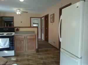 663 Coral Rd, Stanton, MI 48888 photo 15