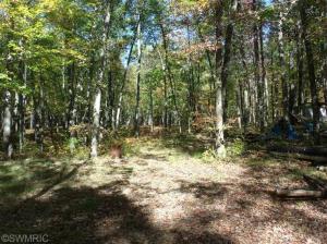 995 E 16 Mile Rd, Bitely, MI 49309 photo 10