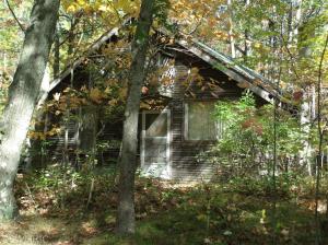 995 E 16 Mile Rd, Bitely, MI 49309 photo 8
