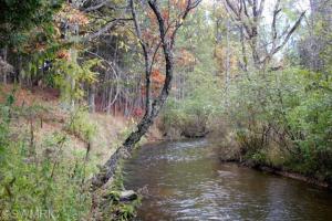 1837 E Monroe, White Cloud, MI 49349 photo 5