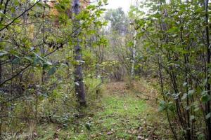 1837 E Monroe, White Cloud, MI 49349 photo 13