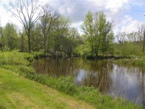 53682 Flatbush Rd, Marcellus, MI 49067 photo 8