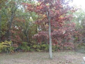 2348 95th St E, Newaygo, MI 49337 photo 5