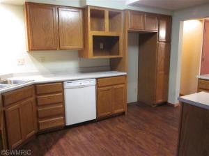 201 S Hooker Ave, Three Rivers, MI 49093 photo 4