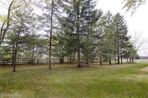 56071 Pulver Rd, Three Rivers, MI 49093 photo 19