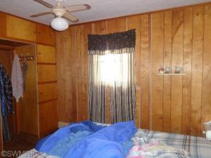 808 Atwater St, Lyons, MI 48851 photo 13