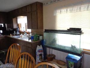 808 Atwater St, Lyons, MI 48851 photo 12