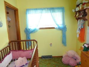 808 Atwater St, Lyons, MI 48851 photo 15