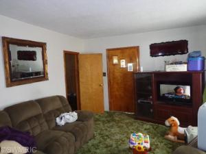 808 Atwater St, Lyons, MI 48851 photo 8