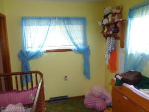 808 Atwater St, Lyons, MI 48851 photo 16